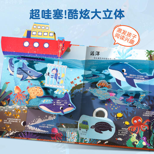 【青葫芦】青葫芦3D立体翻翻书：海洋 商品图2