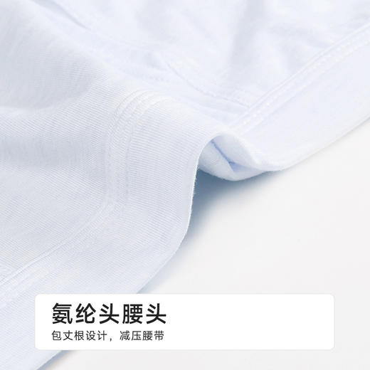 都市丽人简约基础人棉平角人棉色纱平角裤FKHC22 商品图4