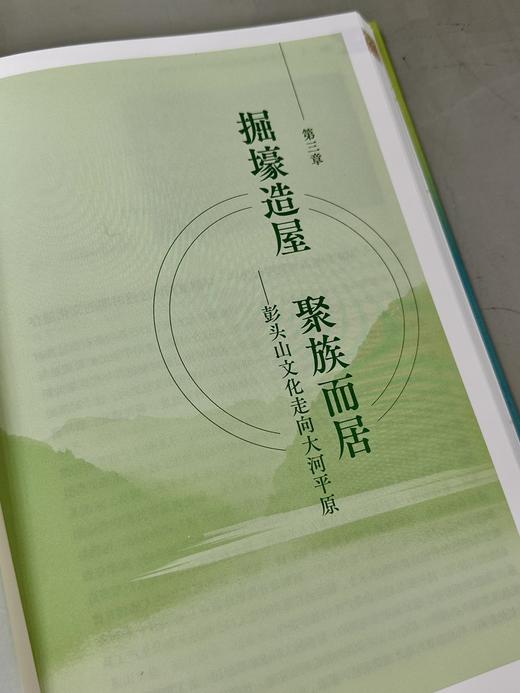 吾道南来——中华民族共同体中的史前湖南 商品图8