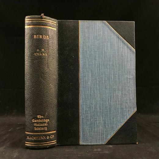 1922年 鸟类图鉴 数百幅插图 真皮精装大32开 商品图0
