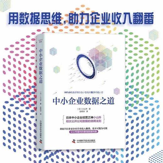 中小企业数据之道 商品图0