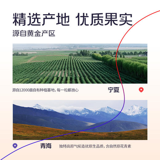 1800ml早红晚黑枸杞原浆礼盒 商品图3