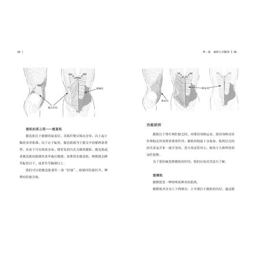 减腹力 商品图2