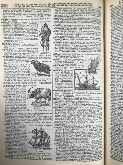 1928年 实用标准英语大词典 2500幅插图 全真皮精装16开 商品图7