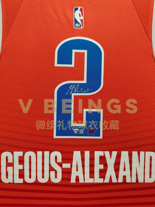 收藏系列 亚历山大 2号橙色 亲笔签名球衣 商品图2