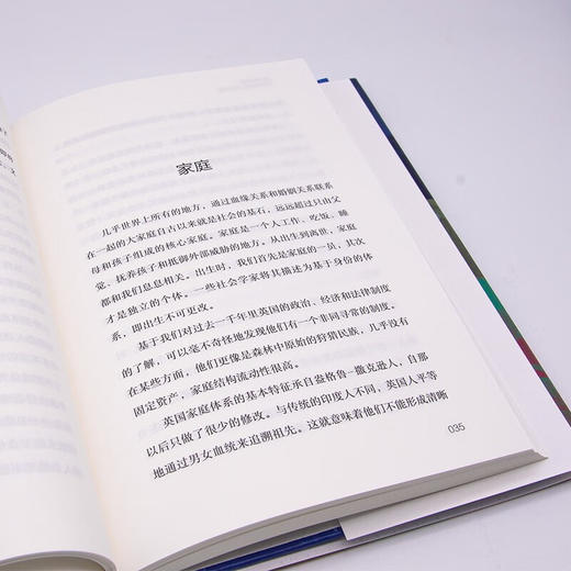 文明的体验：人类学视角下的英国（精装典藏版） 商品图7
