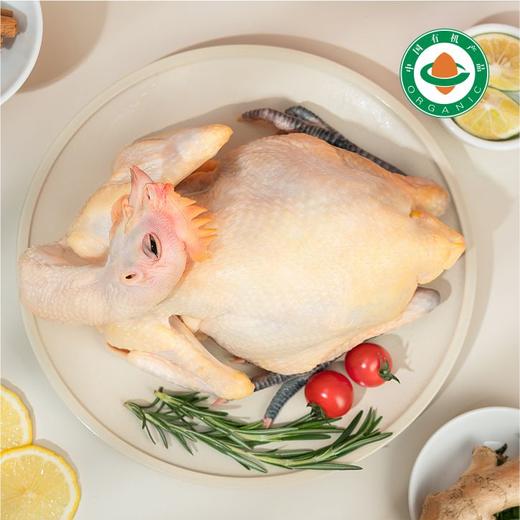 有机石门土鸡【XJ】 商品图1