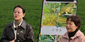 科技赋能忙春耕 “智慧春管”绘丰景