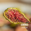 生态青皮无花果干 86g /罐 | 合作农友生产，产自山东威海，生产者：刘树杰 ＆【公平贸易农人定价】 商品缩略图1