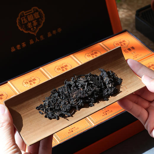 压箱底老茶系列 红珊瑚 15+年陈 普洱熟茶 10泡礼盒装 商品图3