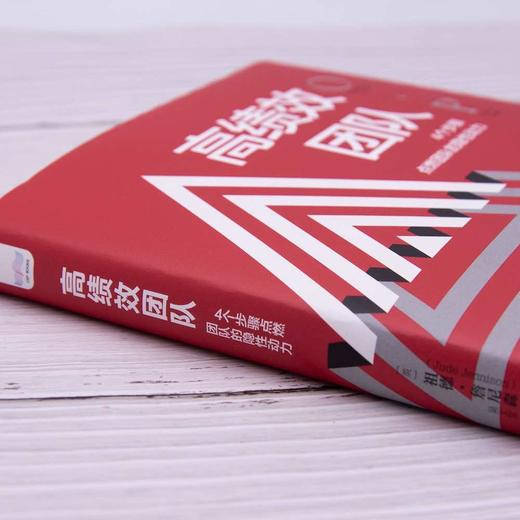高绩效团队:4个步骤点燃团队的隐性动力（精装典藏版） 商品图3