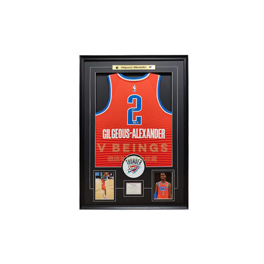 收藏系列 亚历山大 2号橙色 亲笔签名球衣 商品图0