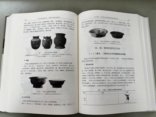 中原早期青铜时代——聚落与礼器专题研究 商品图12