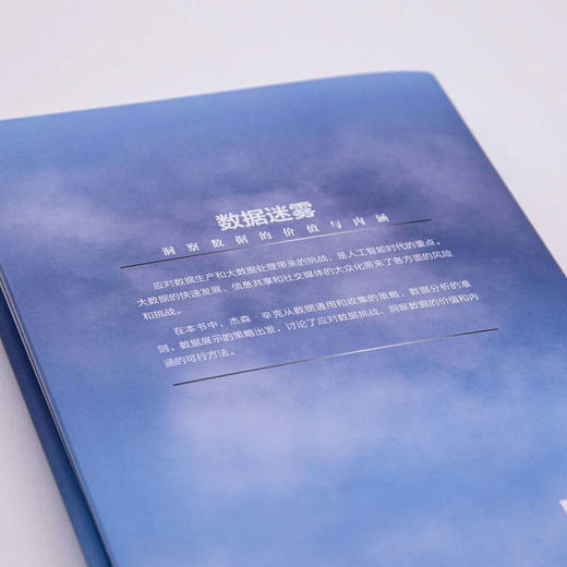 数据迷雾：洞察数据的价值与内涵（精装典藏版） 商品图7