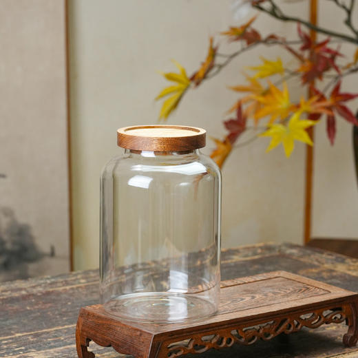 璃韵陈皮罐/装陈皮储存罐高硼硅玻璃密封储物罐茶叶鱼胶花茶防潮罐 商品图3