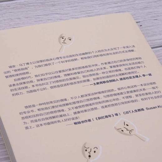 为什么我们会生气（剖析生气的原理，理解生气背后的隐藏情绪，理论版《别生气啦》，让你不被情绪掌控而是驾驭情绪的心理疗愈书） 商品图4