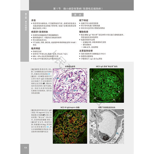 肾脏病理诊断学 第4四版 余英豪 滕晓东 主译 全面介绍了超过265种肾脏疾病的关键病理和临床特征 9787117374088 人民卫生出版社 商品图4