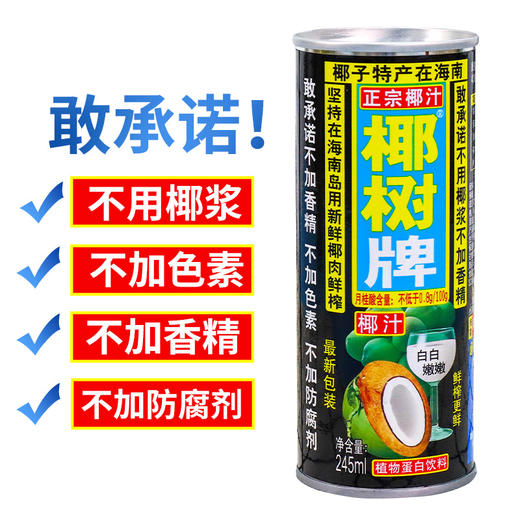 椰树牌椰汁 245ml/罐 商品图1