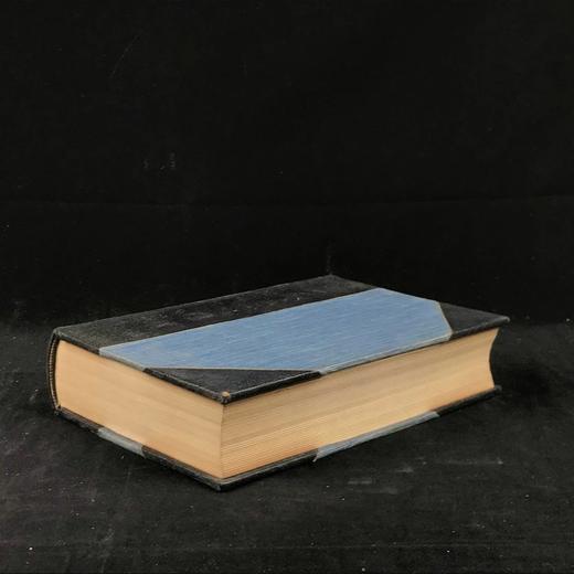 1922年 鸟类图鉴 数百幅插图 真皮精装大32开 商品图1