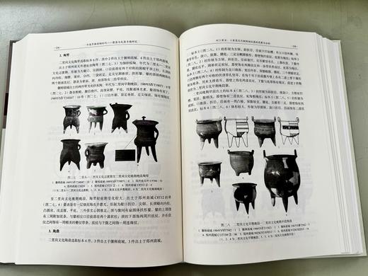 中原早期青铜时代——聚落与礼器专题研究 商品图13