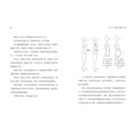 减腹力 商品图3