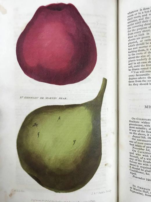 1833年6月~1834年5月 园丁与护林人纪事杂志 9幅手工上色彩色与大量黑白文间插图 全真皮精装大32开 商品图9