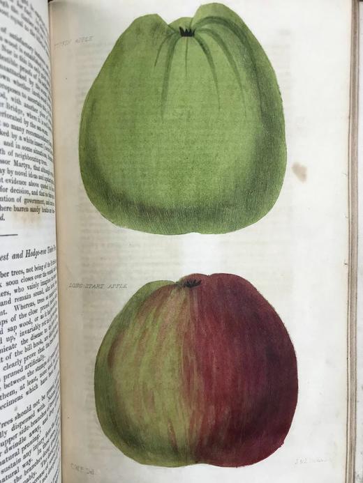 1833年6月~1834年5月 园丁与护林人纪事杂志 9幅手工上色彩色与大量黑白文间插图 全真皮精装大32开 商品图5