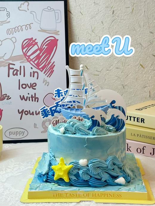 扬帆起航206 商品图0