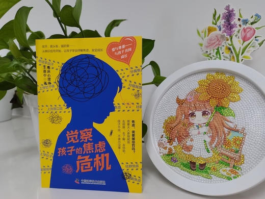 觉察孩子的焦虑危机 商品图1