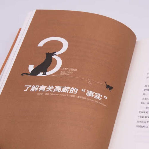 大狗与肥猫：现代社会的高薪现象 商品图4