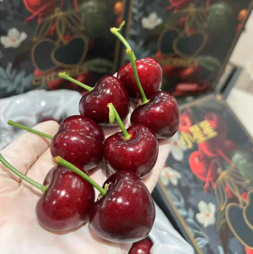 大连美早小苹果大樱桃🍒（1.8斤装） 商品图2