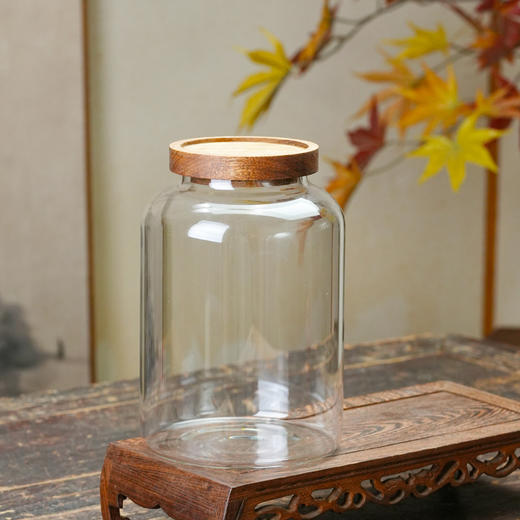 璃韵陈皮罐/装陈皮储存罐高硼硅玻璃密封储物罐茶叶鱼胶花茶防潮罐 商品图4
