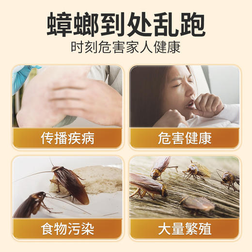 金灭士杀蟑饵剂一窝全窝端家用室内杀蟑胶饵饵剂 商品图1