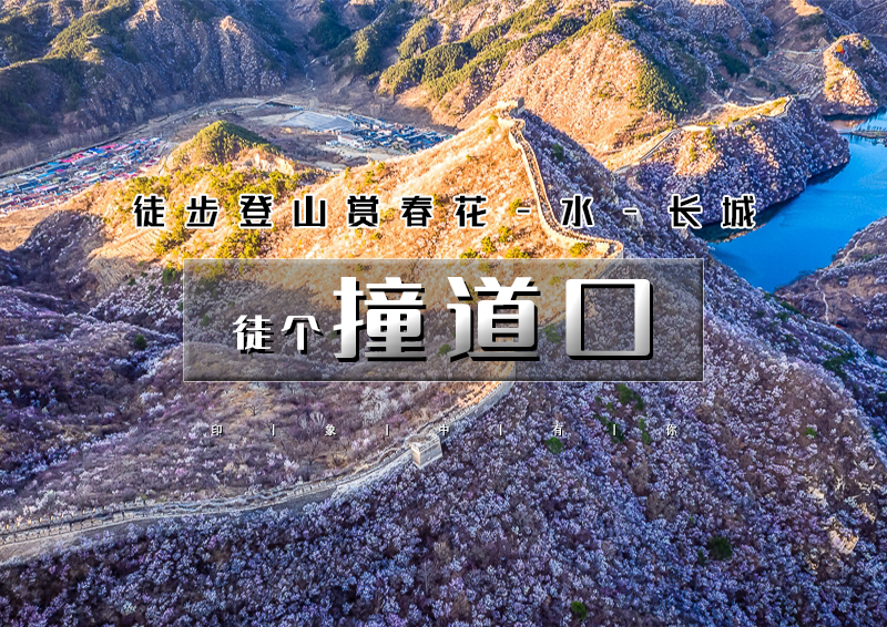 撞道口｜春花·水·长城の鹞子峪-撞道口长城环线10公里<初级>