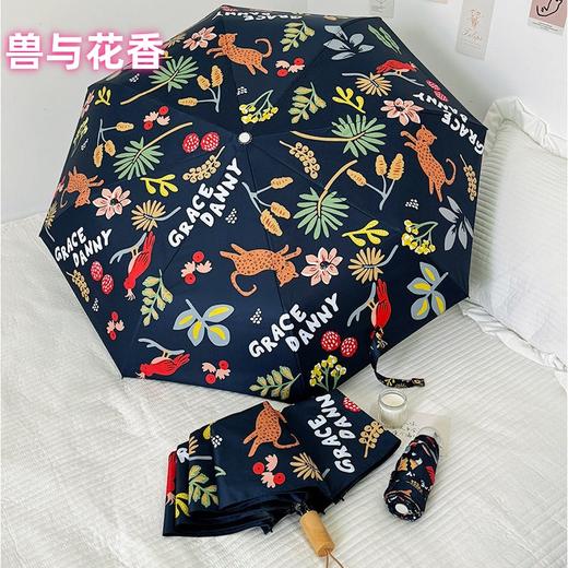 直发 韩国品牌AVRNA法式高级感晴雨伞 口袋伞 商品图10