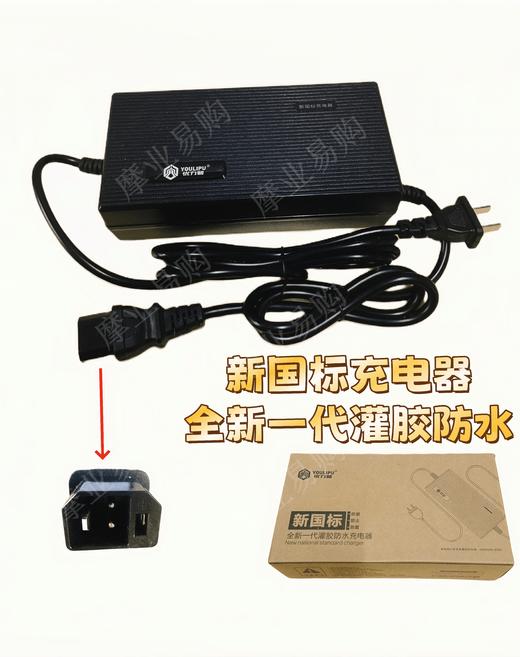 优力普新国标灌胶2+2充电器 商品图0