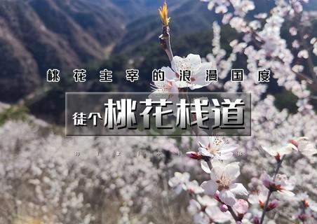 桃花栈道｜一路山桃花の燕京八景之一银山塔林-桃花栈道10公里穿越<初级> 商品图0