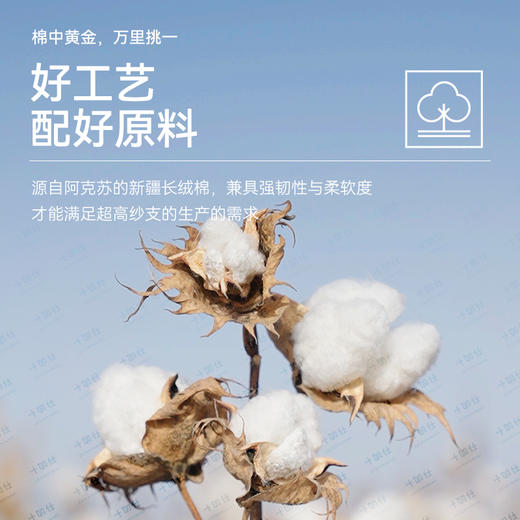 十如仕240高支纱丝光t恤夏季男士圆领高级感短袖t户外休闲-T30-02 商品图6