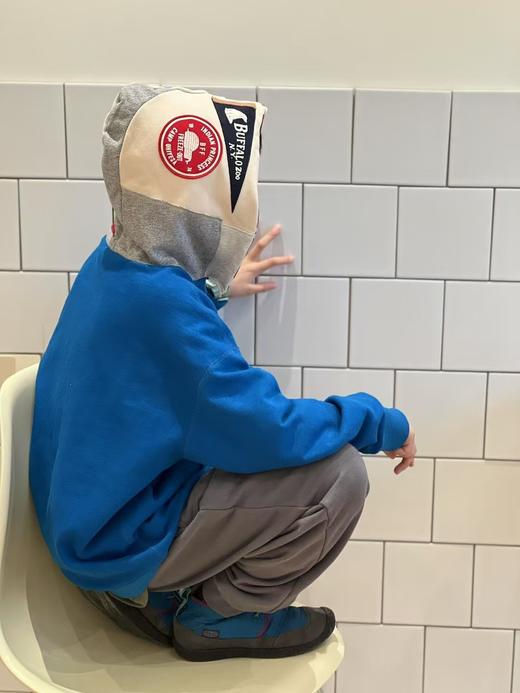 2025春季DD日重工男女儿童彩条拼色块沙皮狗徽章贴布连帽卫衣！ 商品图0