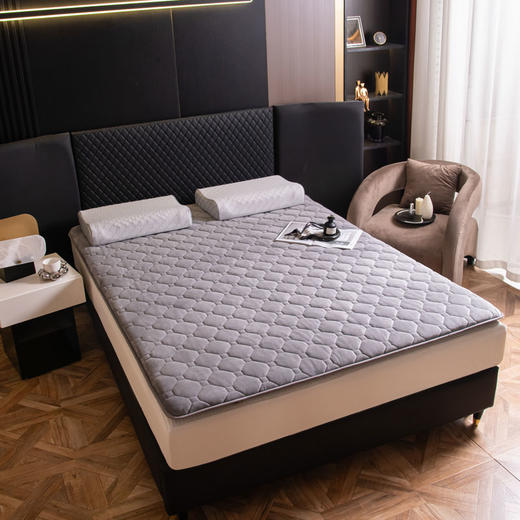 多喜爱美眠康常青藤暖绒软垫 商品图2