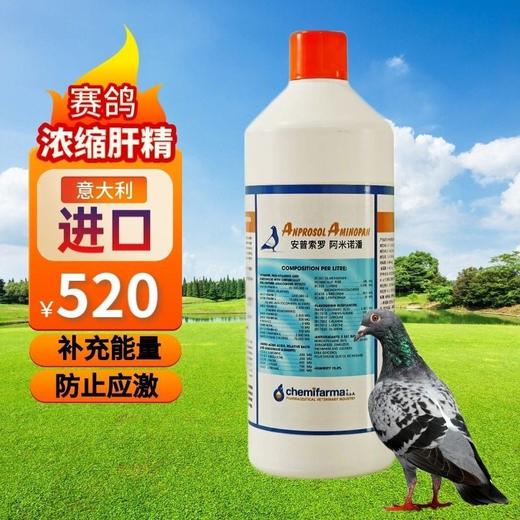 威泽牧500毫升【阿米诺潘】原装进口补充能量赛鸽氨基酸维生素肝精 商品图2