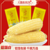 [最农公社]当季有机精品白糯玉米9支新鲜甜软糯铝箔包装 商品缩略图0