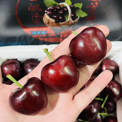 大连樱桃  5J 精品大连樱桃礼盒 一件约2斤【包装随机发】 商品图2