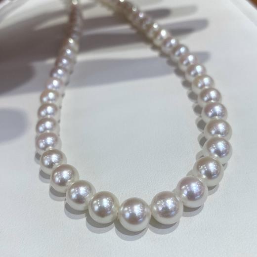 7mm-8mm akoya项链 商品图4