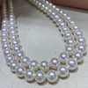 7mm-8mm akoya项链 商品缩略图0