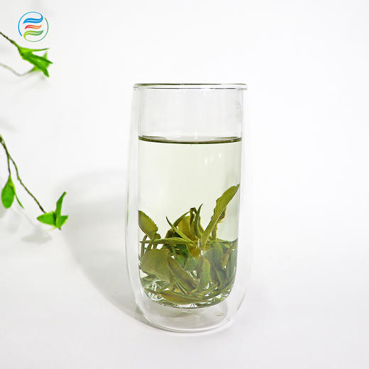 高山绿茶--广西隆林高山绿茶168克袋装 商品图2