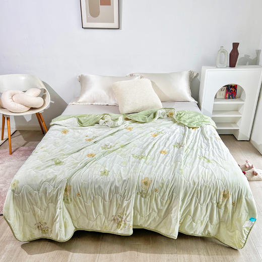 【XIAOKISS】NBIO享眠植萃驱蚊凉爽纤柔被pro2.0 商品图8