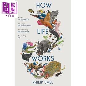 【中商原版】生命如何运作 新生物学用户指南 How Life Works  A User s Guide to the New Biology 英文原版 Philip Ball