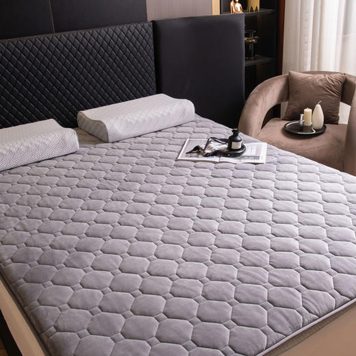 多喜爱美眠康常青藤暖绒软垫 商品图1