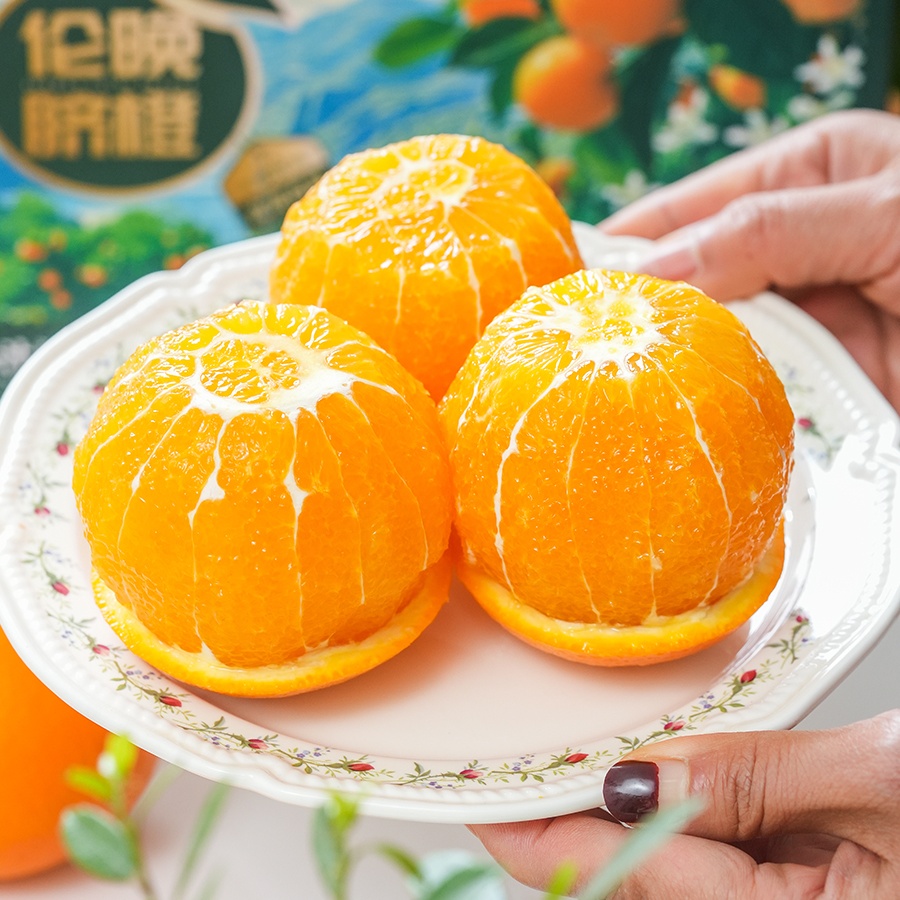 【伦晚橙】花果同枝，自带橙花香气，自然成熟，新鲜采摘，一口咬下去，汁水四溢，化渣无籽，清甜回甘！